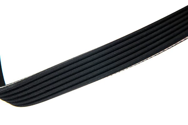 V-Ribbed Belt 06-01580-SX