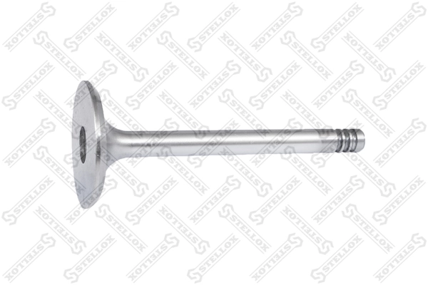 Intake Valve 01-23117-SX