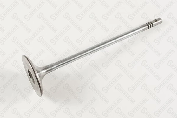 Intake Valve 01-24355-SX