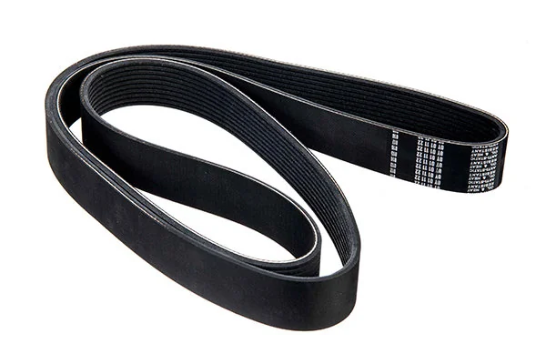 V-Ribbed Belt 10-01815-SX