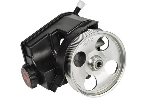 Hydraulic Pump, steering 00-35556-SX