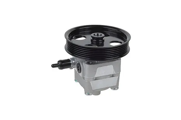 Hydraulic Pump, steering 00-36391-SX