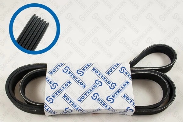 V-Ribbed Belt 06-01856-SX