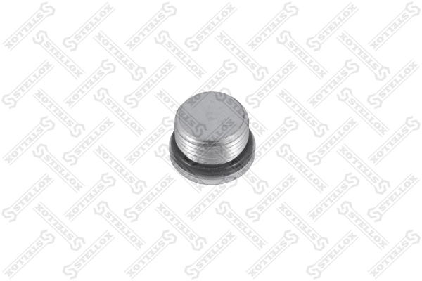 Screw Plug 85-31102-SX