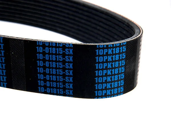 V-Ribbed Belt 10-01815-SX