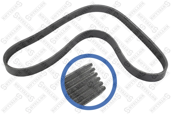 V-Ribbed Belt 06-01019-SX