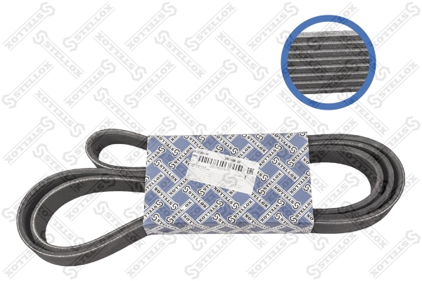 V-Ribbed Belt 08-01988-SX