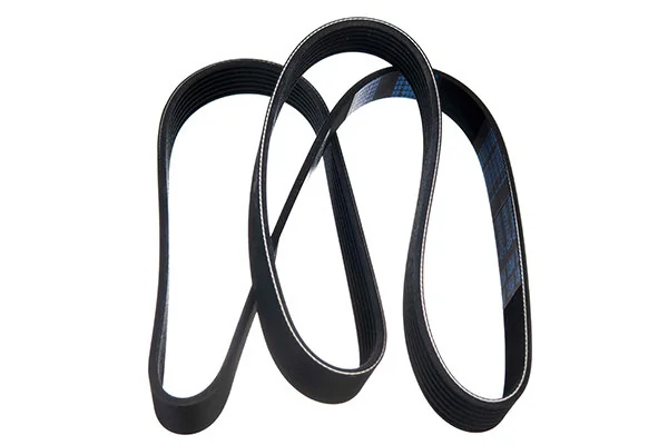 V-Ribbed Belt 07-01550-SX