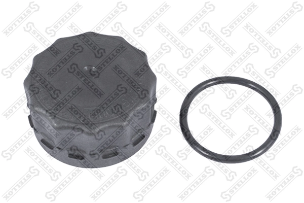 Cap, coolant tank 89-05209-SX