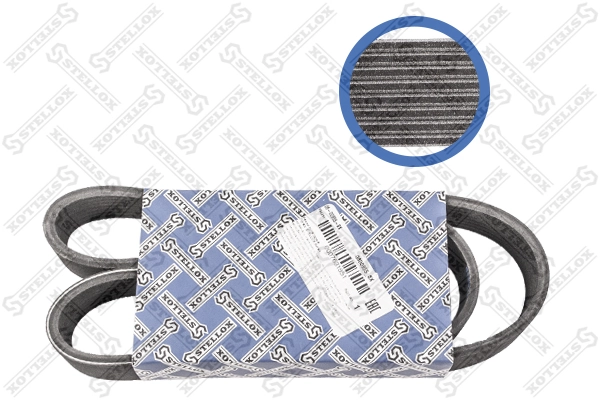 V-Ribbed Belt 08-00955-SX