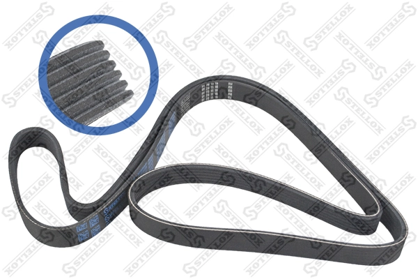 V-Ribbed Belt 06-01733-SX