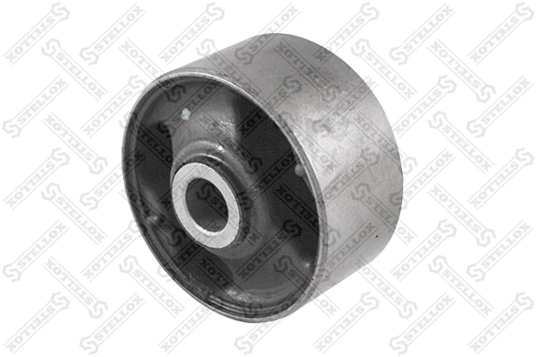 Mounting, transfer case 77-01063-SX