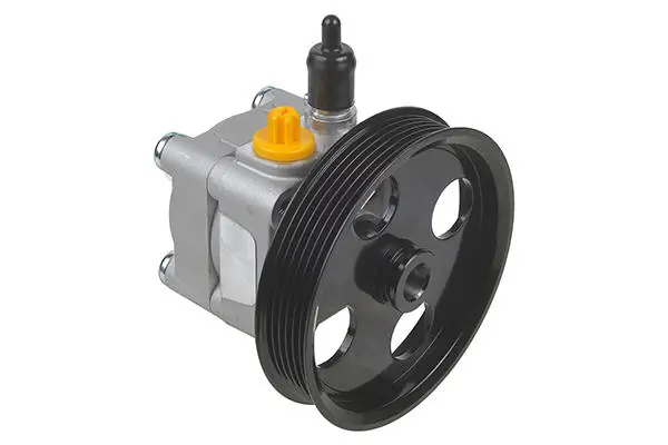 Hydraulic Pump, steering 00-36050-SX
