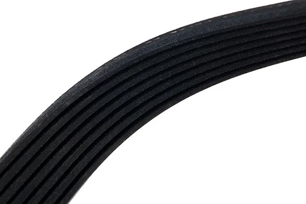 V-Ribbed Belt 07-01550-SX