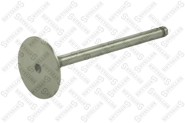 Intake Valve 01-23032-SX