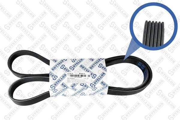 V-Ribbed Belt 06-01635-SX