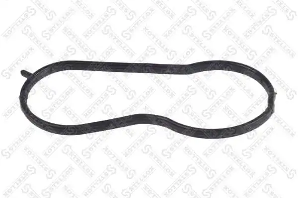 Gasket, coolant flange 11-25769-SX