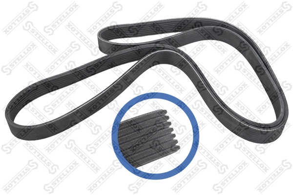 V-Ribbed Belt 07-01790-SX