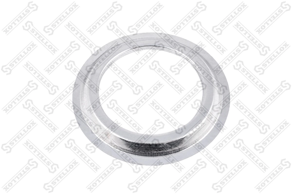 Cover Plate, dust-cover wheel bearing 89-01402-SX