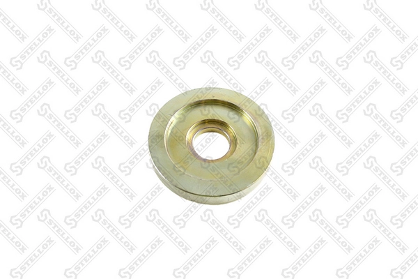 Seal Ring, spring link 84-55073-SX