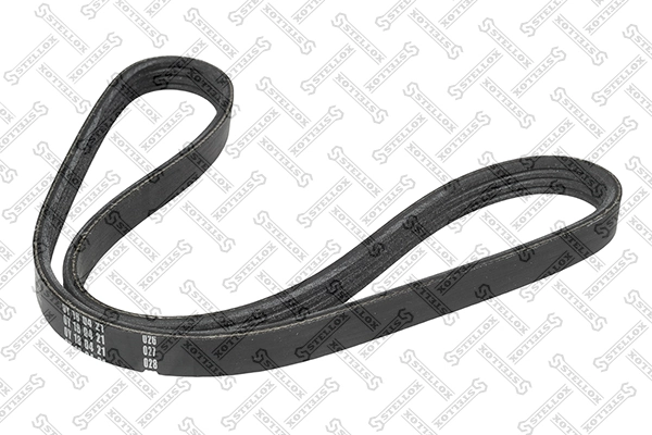 V-Ribbed Belt 04-00867-SX