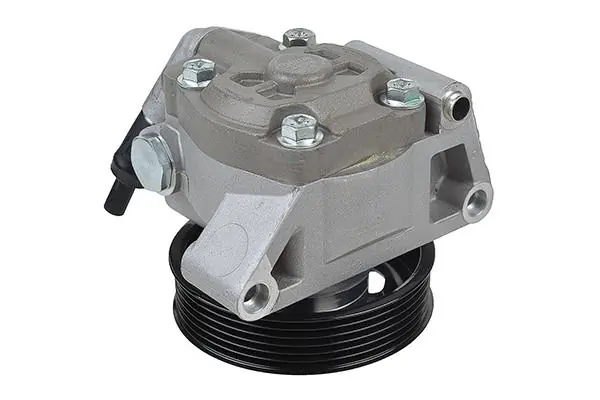 Hydraulic Pump, steering 00-36329-SX