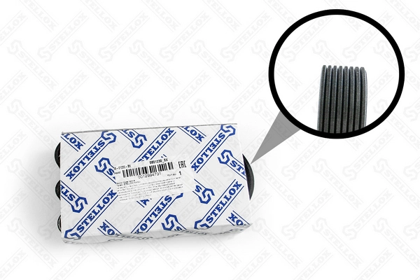 V-Ribbed Belt 08-01230-SX