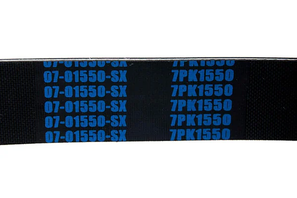 V-Ribbed Belt 07-01550-SX