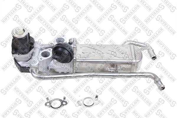 EGR Valve 01-25111-SX