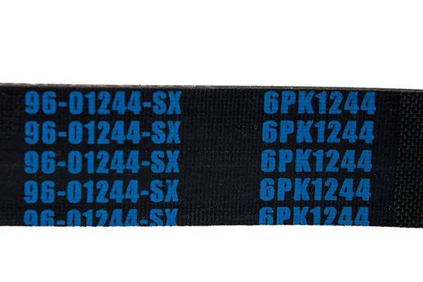 V-Ribbed Belt 96-01244-SX