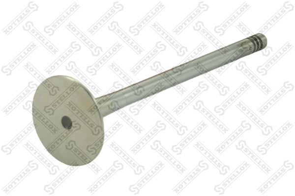 Exhaust Valve 01-24049-SX