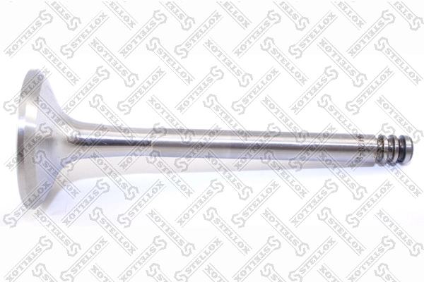 Exhaust Valve 01-24120-SX