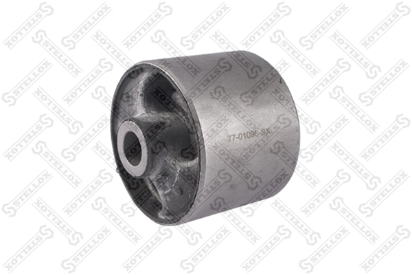 Mounting, transfer case 77-01096-SX