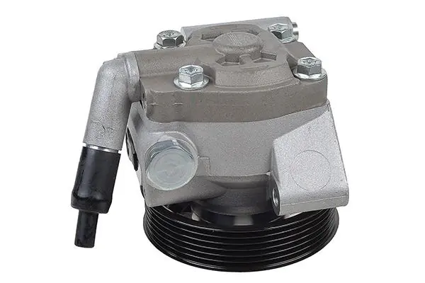 Hydraulic Pump, steering 00-36329-SX