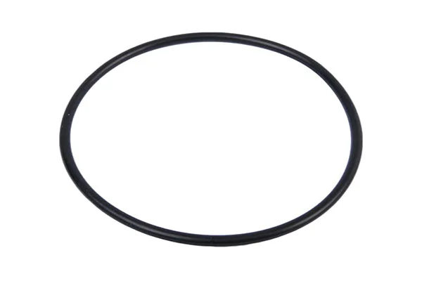 Fuel Filter 21-00934-SX