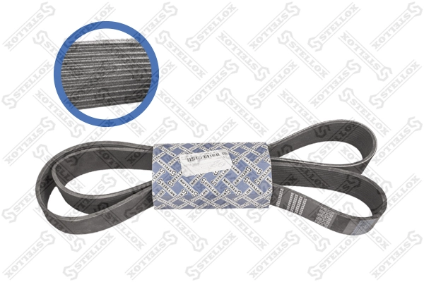 V-Ribbed Belt 01-21815-SX