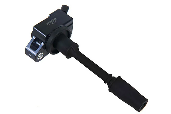 Gelung pengapian 61-00300-SX