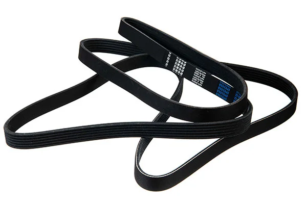 V-Ribbed Belt 06-02460-SX