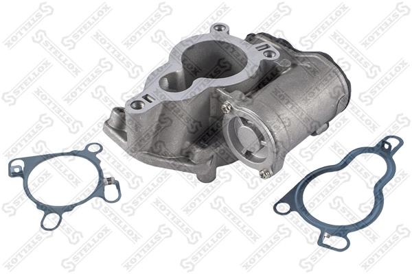 EGR Valve 01-25013-SX