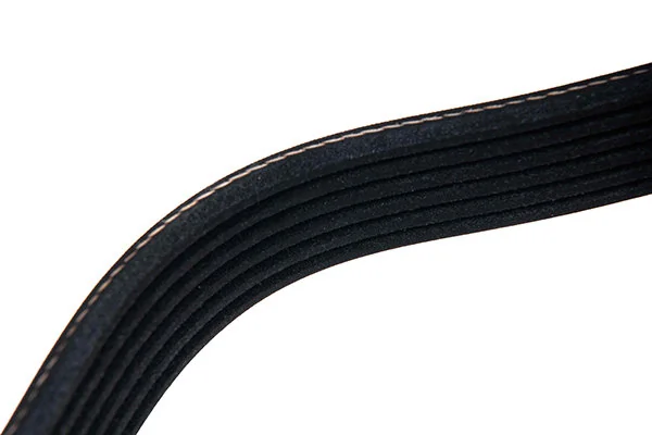 V-Ribbed Belt 96-01683-SX