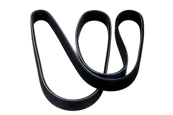 V-Ribbed Belt 06-01495-SX