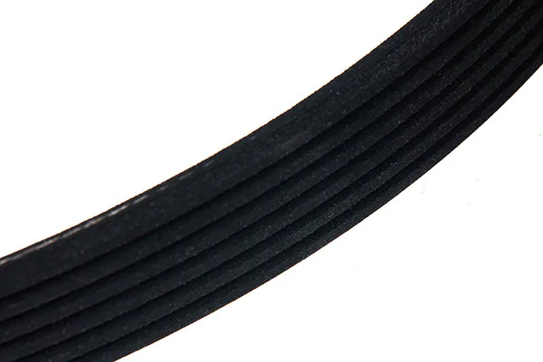 V-Ribbed Belt 96-01244-SX