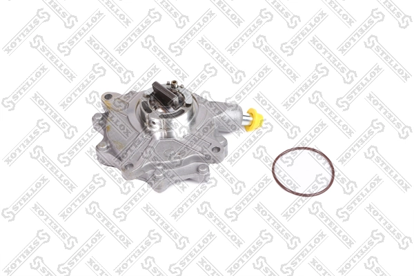 Vacuum Pump, braking system 10-02501-SX