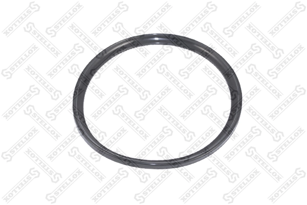 Seal Ring, spring bush (spring eye) 81-01024-SX