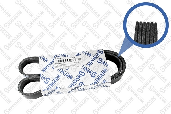 V-Ribbed Belt 06-01030-SX