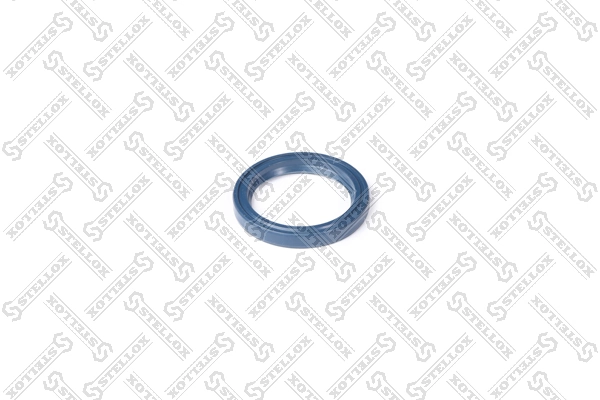 Seal Ring, spring bush (spring eye) 81-01295-SX