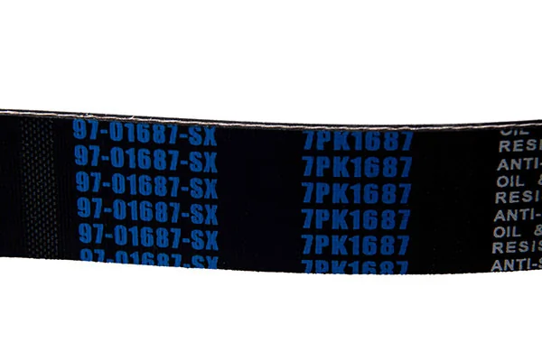 רצועות מצולעות V 97-01687-SX