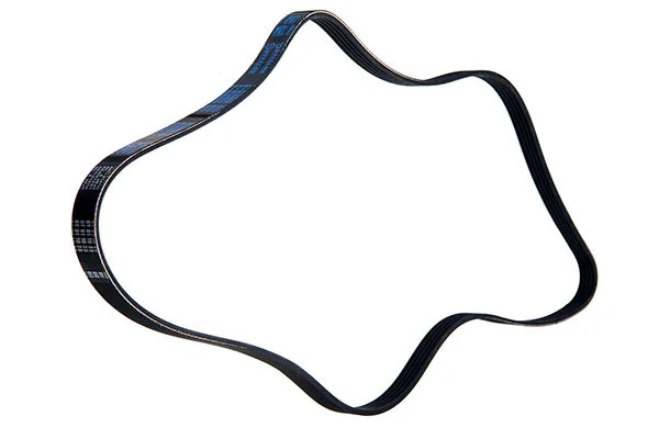 V-Ribbed Belt 95-01334-SX