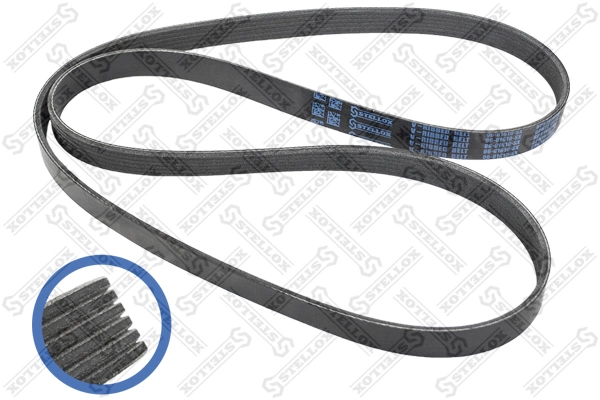 V-Ribbed Belt 06-01610-SX