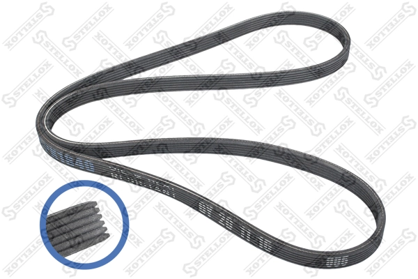 V-Ribbed Belt 06-01840-SX